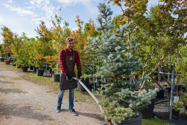  Birdsboro, PA Tree Removal Pros